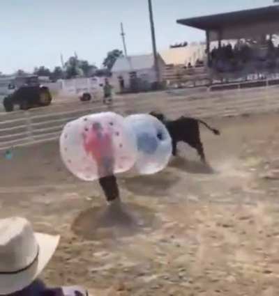 Just guys and their bull