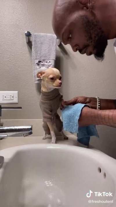Dads after they get a pet they didn't want: