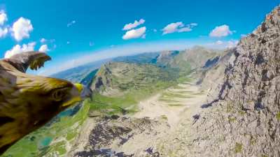 ? Breathtaking- Eagle flying over the Alps
