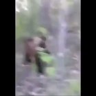 Let me just go ahead and kick this bear