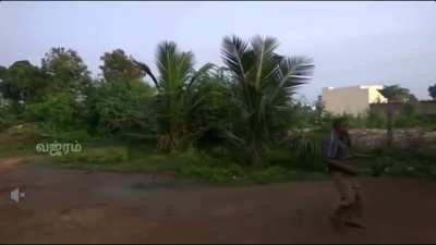 Guy throws an old boomerang-like axe