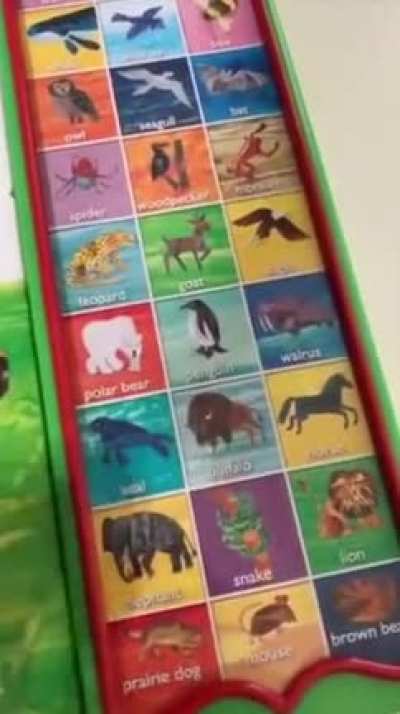Today I learned how animals sound?