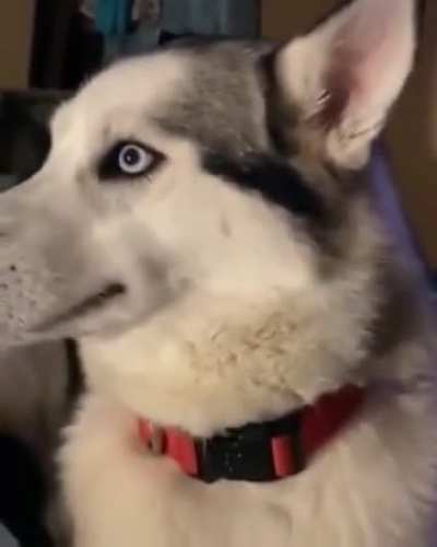 "it wasn't me"