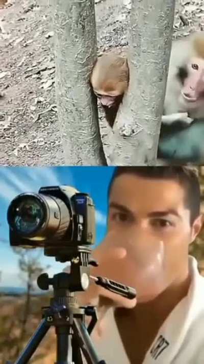 Unusual