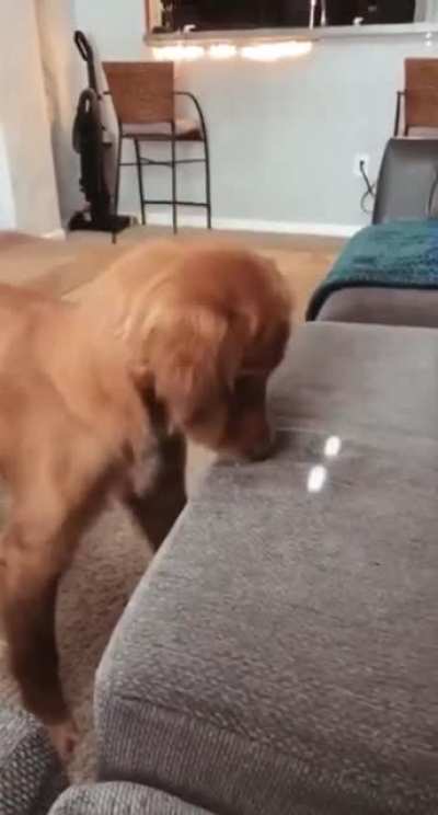 to eating sunlight