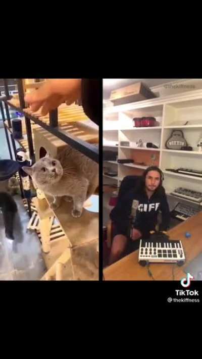 Alugalug Cat vs The Kiffness
