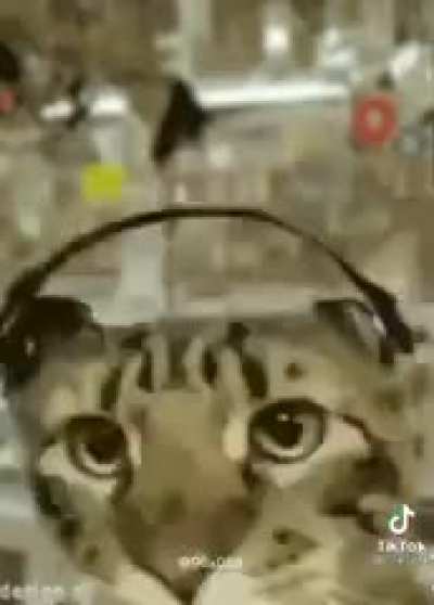 ?‍⬛