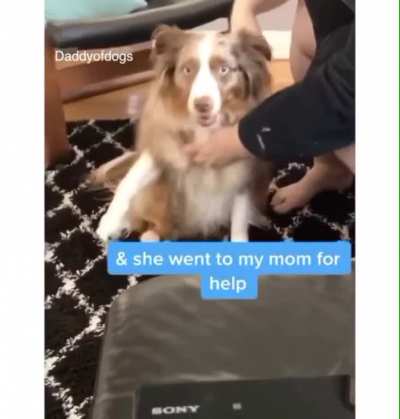 mom fixes everything