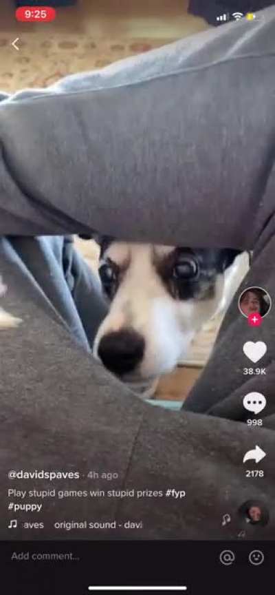 What did he expect