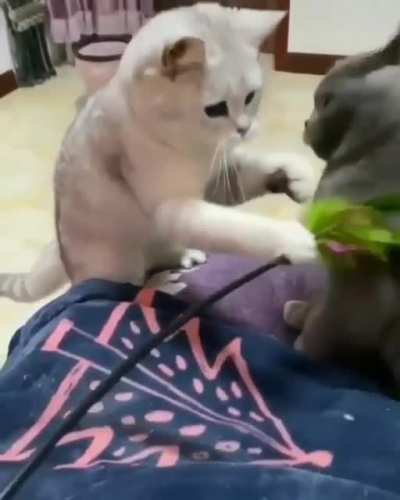You're dead
