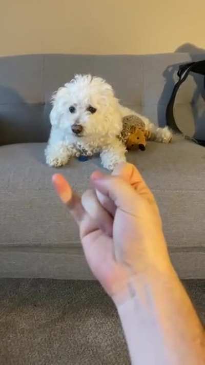 "How does he react to your other finger ?