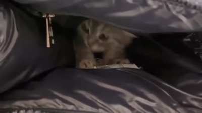 Peak-A-Boo??
