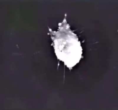 What a dying neuron looks like