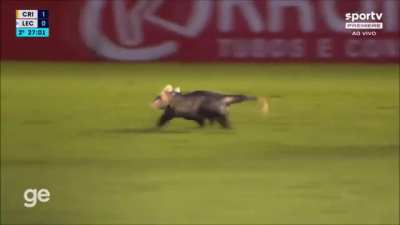 Meanwhile, in the B series of the Brazilian soccer championship