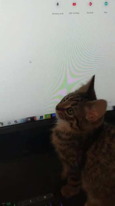 That’s the wrong type of mouse…