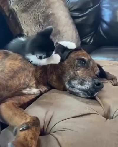 "Don't worry, cheer up"