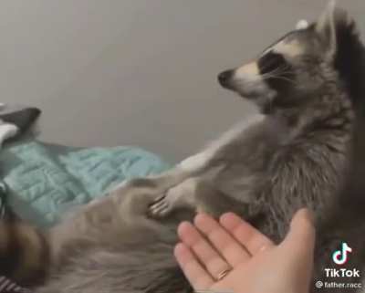 ?