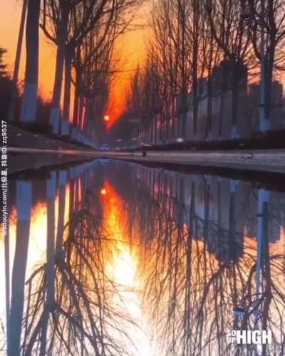 Magical golden hour