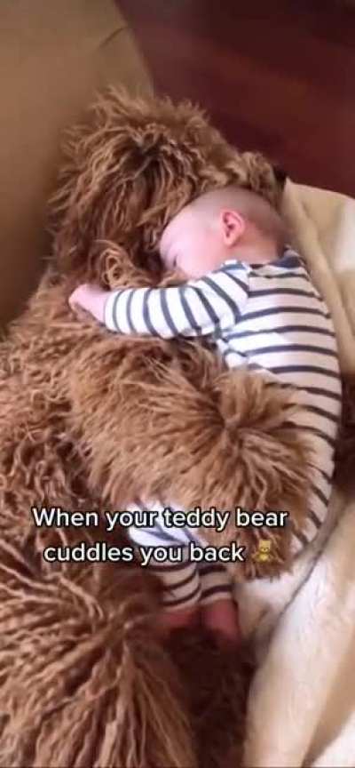 This kind of cuddle! (Tiktok Video)