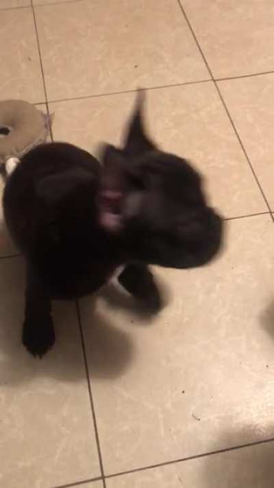 ??