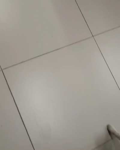 A smart street cat lead a passerby of his simple needs. He was adopted later on..