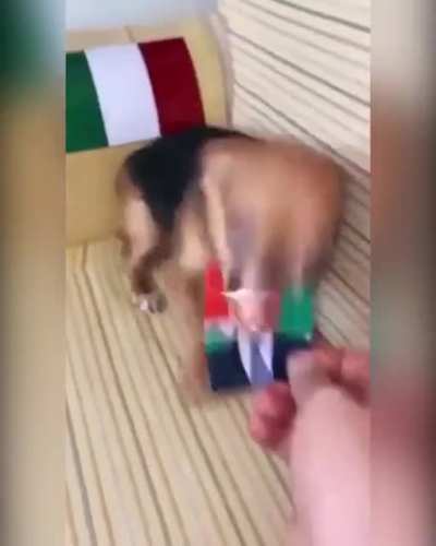 Power of Putin