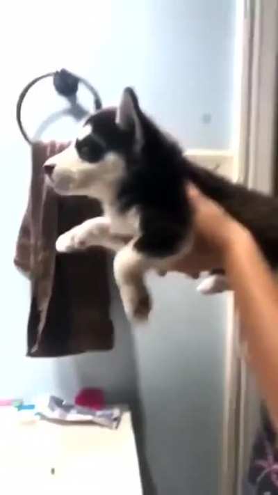 There was an attempt...
