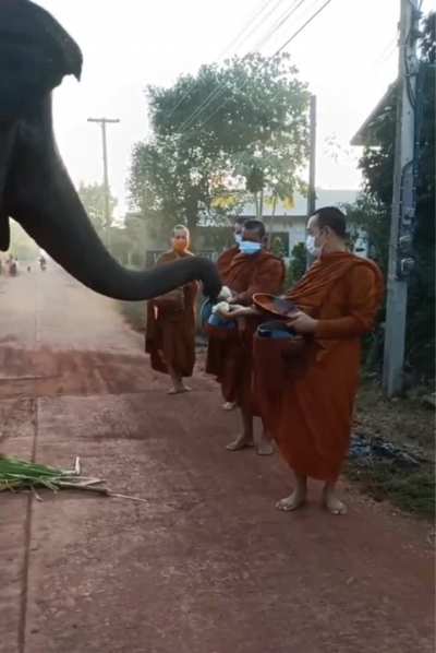 ? Elephant collects food from Buddhists