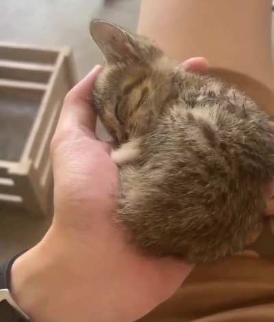 Look how smol!