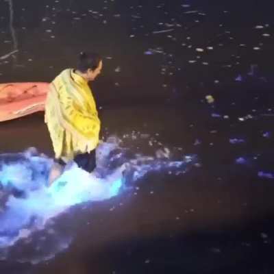 ? Walking through bioluminescent plankton