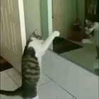 Fight with me