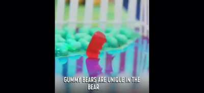 Gummy Chaos