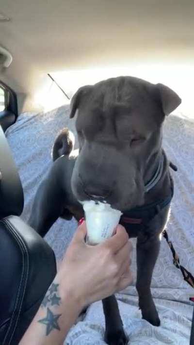 First “puppacinno” ...finally caved in and let him try... ?