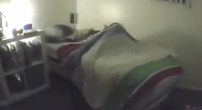 Alarm bed