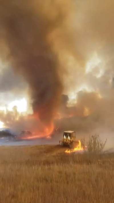 Fire tornado captured during Chaparral Fire in Riverside Today 8/29