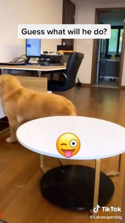 You can’t eat it until I come back, OK?