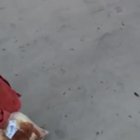 to duck