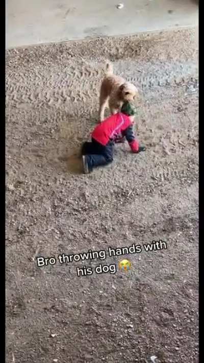Bro has beef w a dog ? (@Reedo on TikTok)