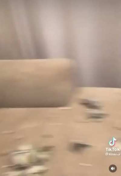 who’s a good dog? ?