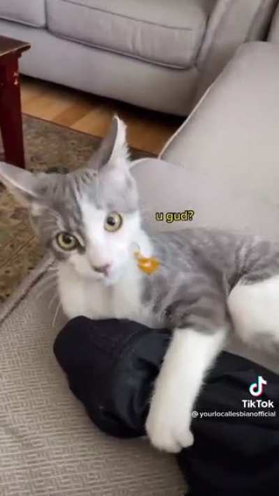 MILO