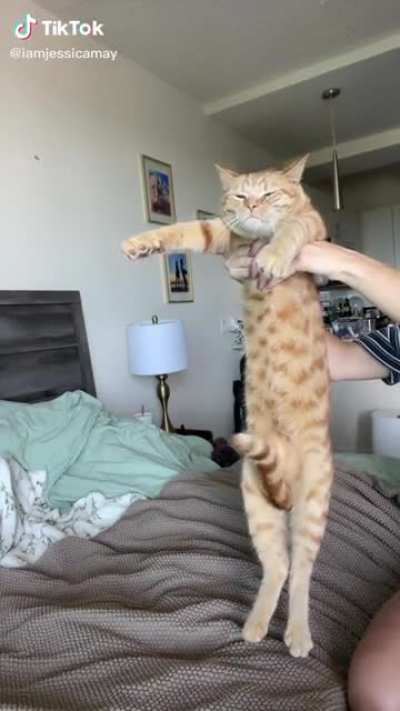 It’s scanning the area