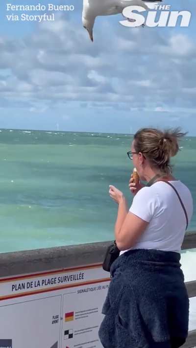 Caught on camera: seagull steals woman’s ice cream in Étretat, France ?? (Video by Fernando Bueno)