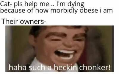 Yo stop overfeeding pets