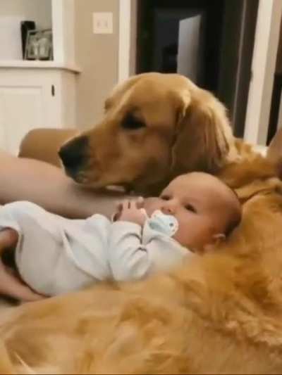 Best nanny