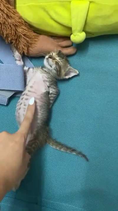 Proud of that belly