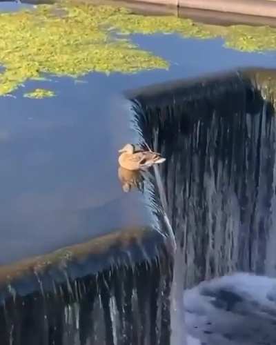 Living on the edge