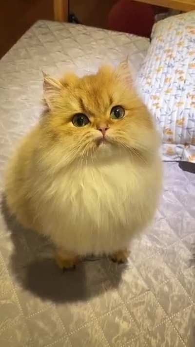 So mean