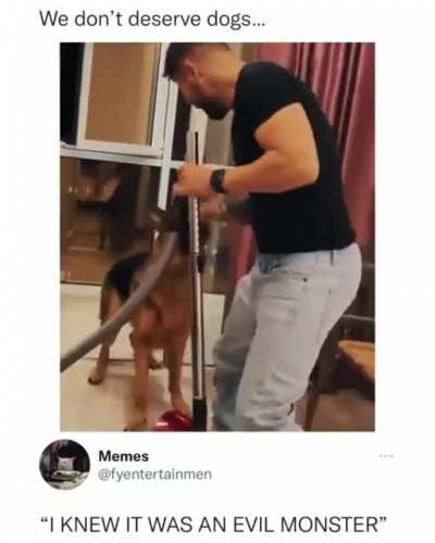 We don’t deserve dogs.