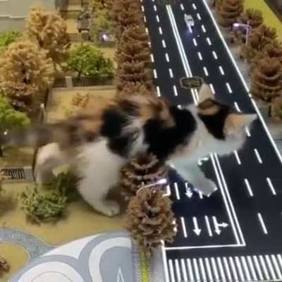 Godzilla Kitty
