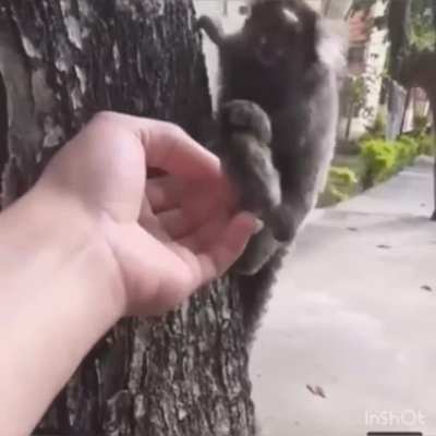 Excuse me, ma'am. You dropped this.